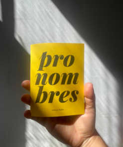 Fanzine Pronombres
