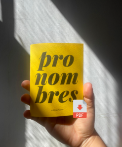 Fanzine Pronombres Digital